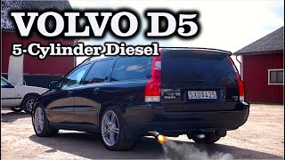 Best of Volvo D5 Sounds – Loud 5Cylinder Turbo Diesels [upl. by Leemaj]