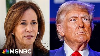 Countdown to the 2024 election Day 10  MSNBC Highlights [upl. by Gem]