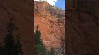 ZION NATIONAL PARK narrows hike [upl. by Ititrefen]