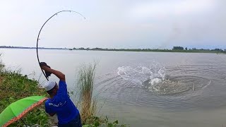 বরাল নদীতে আজকের মাছ ধরা  fishing video 🎣 fishing hookfishing reel মাছধরা [upl. by Adeys]