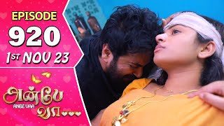 Anbe Vaa Serial  Episode 920  1st Nov 2023  Virat  Delna Davis  Saregama TV Shows Tamil [upl. by Ahsiner]