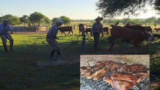 YERRA A CAMPO EN LA ESTANCIA Y UN BUEN ASADO TRADICIONES [upl. by Orella]