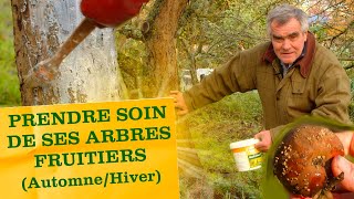 Prendre soin des arbres fruitiers entretien taille bon gestes et traitements en Automne et hiver [upl. by Cade]