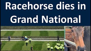 Racehorse Hill Sixteen dies in Grand National 2023  Racehorse Died at Grand National Horses 2023 [upl. by Nerahs649]