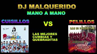 MIX DE CUISILLOS VS PELILLOS MANO A MANO [upl. by Gabbie]