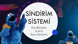 Sindirim Sistemi 1  Fen Bilimleri 6Sınıf Konu Anlatımı [upl. by Pruchno]