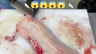 Worlds Sharpest Knife Amazing cutting Master Luxurious Sashimi bigfish fishcuting foodsealover [upl. by Trask976]