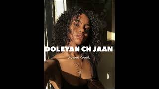 Jelly  DOLEYAN CH JAAN  Slowed Reverb  latest Punjabi song [upl. by Naened]