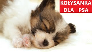 KOŁYSANKA DLA PSA  Muzyka Relaksacyjna Dla Psów  GŁĘBOKI SEN 💤 [upl. by Ecaj793]