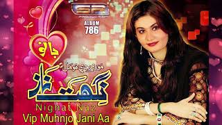 Vip Muhnjo Jani Aa  Nighat Naaz  New Sindhi Songs 2017  Sr Production [upl. by Reywas]