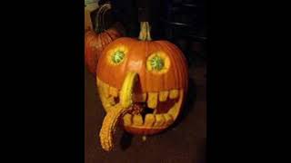 Pumpkin song for pumpkin do you get the the punkin🎃😹 [upl. by Isadore]