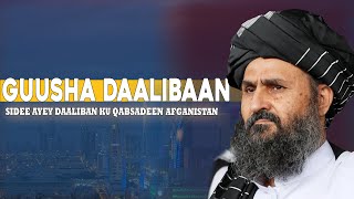 SIDEE AYAY DAALIBAAN KU QABSATAY AFGAANISTAAN [upl. by Bayless]