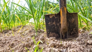 How to take a Soil Sample on your farm by the Agricultural Research Council of South Africa [upl. by Cavanagh79]