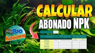 😋Cómo CALCULAR el ABONADO de NPK  ABONAR ACUARIO PLANTADO  Bio Acuarios HD [upl. by Brace]