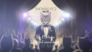 The Motans  Viitorul sună bine  Thomas Pcz Remix [upl. by Aicekal]