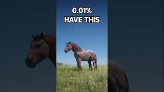 001 Have This  Rarest Horse RDR2 [upl. by Salisbury]