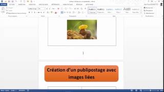 Word  Créer un Publipostage avec Image Dynamique [upl. by Latsyk]