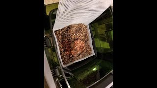 How to AFS BCB in canister filter the Lukeway  DIY way to get rid of nitrates [upl. by Ihcekn]