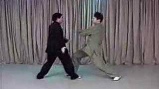 Xingyiquan 形意拳 An Shenpao Master Shouyu Liang amp Sam Masich [upl. by Ylelhsa]