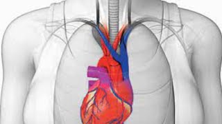 What is Dextrocardia Symptoms Causes Treatment [upl. by Nytnerb968]