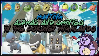 Hunting Alphas and Shinies in the Coronet Highlands  Day 15 [upl. by Shermy]