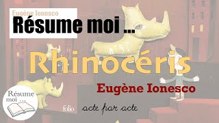 Rhinocéros  Eugène Ionesco  Résumé acte par acte [upl. by Hukill672]