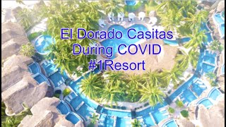 We Traveled to Mexico During Covid 1 Best Resort in RIVERIA MAYA  El dorado royalecasitas [upl. by Atikkin]