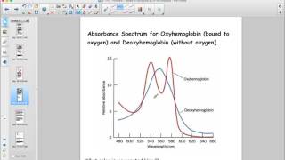 Proteins UV Vis Spectroscopy Analysis [upl. by Dranek]