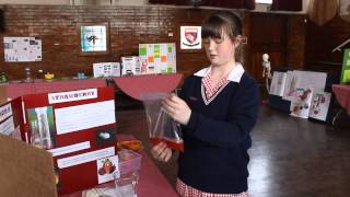 Amber Voogel Milton Primary learner extracts strawberry DNA [upl. by Ttennaj621]