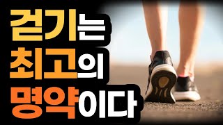 대부분의 병은 걷기만 해도 낫는다  아프지 않고 100세까지 사는 하루 1시간 걷기의 힘 [upl. by Rosemari974]