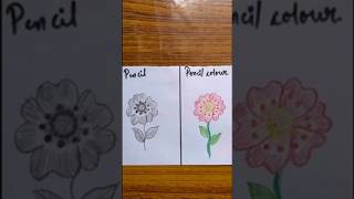 Pencil 🆚 pencil colours shorts ytshorts challenge tranding satisfying art drawing youtube [upl. by Jordison]