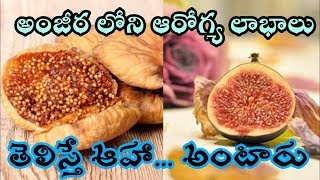 Anjeer Health Benefits In TeluguAthi Pandu Health Benefits TeluguAnjeera benefits teluguAnjeer [upl. by Omora576]