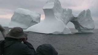 Icebergs and whales St Anthony Newfoundland [upl. by Sik]