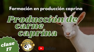 CARNE CAPRINA  PRODUCCIÓN  Clase 17 [upl. by Artemas]