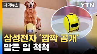 자막뉴스 CES 휩쓴 AI깜짝 놀랄 성능  YTN [upl. by Anair]