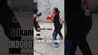 Pad work drills defense tecnique indoboxing [upl. by Airamesor187]