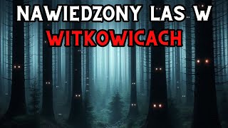 Nawiedzony Las w Witkowicach  Aktywność Paranormalna [upl. by Adnirol]