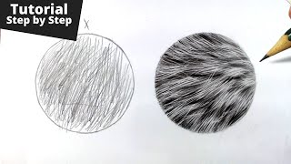 How to Draw Realistic Fur for Beginners [upl. by Aicelav]