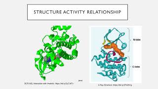 BCRABL Tyrosine Kinase Inhibitors  NC SE TS [upl. by Olney]