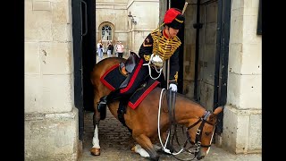 When The Kings Guards Show INCREDIBLE HORSEMANSHIP From Scared Horses [upl. by Ahsai547]