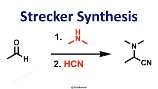 Strecker Synthesis [upl. by Madoc]