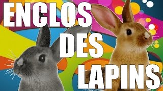 Lenclos de mes lapins [upl. by Enida]