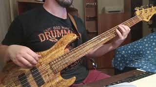 David Gilmour  Rattle That Lock bass cover [upl. by Giacobo462]