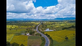 Sunflower Cultivation Gundlupet  Karnataka [upl. by Arron745]