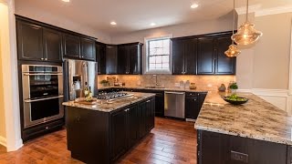 New Custom Home in Naperville IL  David Weekley Homes [upl. by Nahsad]