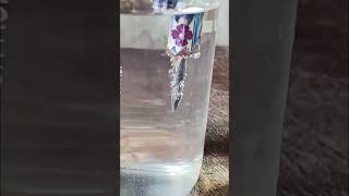 chemistry water electrolysis by PCM Guru Ji Online classes experiment [upl. by Demahom583]