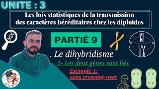 UNITÉ 3  Parti 9 le dihybridisme gènes liés  Crossingover  La distance  La carte factorielle [upl. by Lenox]