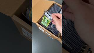 100 Gradings gekauft Mega Überaschung 😱🤯 deal ankauf tcg grading [upl. by Ellenij]