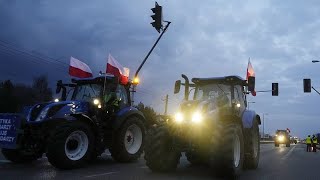 quotWir wissen was zu tun istquot Polnische Bauern protestieren an Grenze zur Slowakei [upl. by Enileda33]