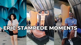 2024s MOST EPIC STAMPEDE Moments Caught on Camera [upl. by Nehepts]